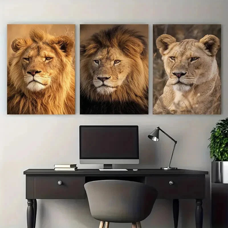 3pcs Lion Botswana African Photography, Safari Wall Art Set Canvas Framed 40x60cm - High Quality Print 100% Australian Made Wall Canvas Ready to Hang