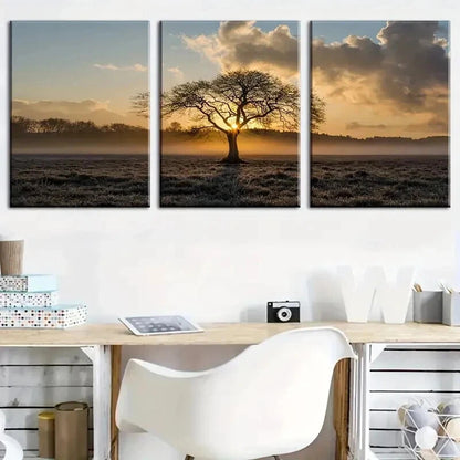 3pcs Tree Of Life On Prairie Sunset Landscape Wall Art Set Canvas Framed 40x60cm - High Quality Print 100% Australian Made Wall Canvas Ready to Hang