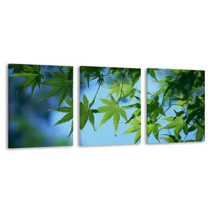 3pcs Green Leaves Reaching For The Sun   Wall Art Set Canvas Framed 60x90cm - High Quality Print 100% Australian Made Wall Canvas Ready to Hang
