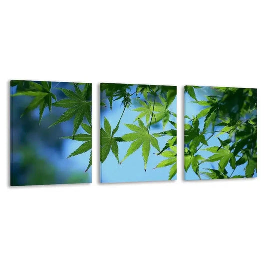 3pcs Green Leaves Reaching For The Sun   Wall Art Set Canvas Framed 60x90cm - High Quality Print 100% Australian Made Wall Canvas Ready to Hang