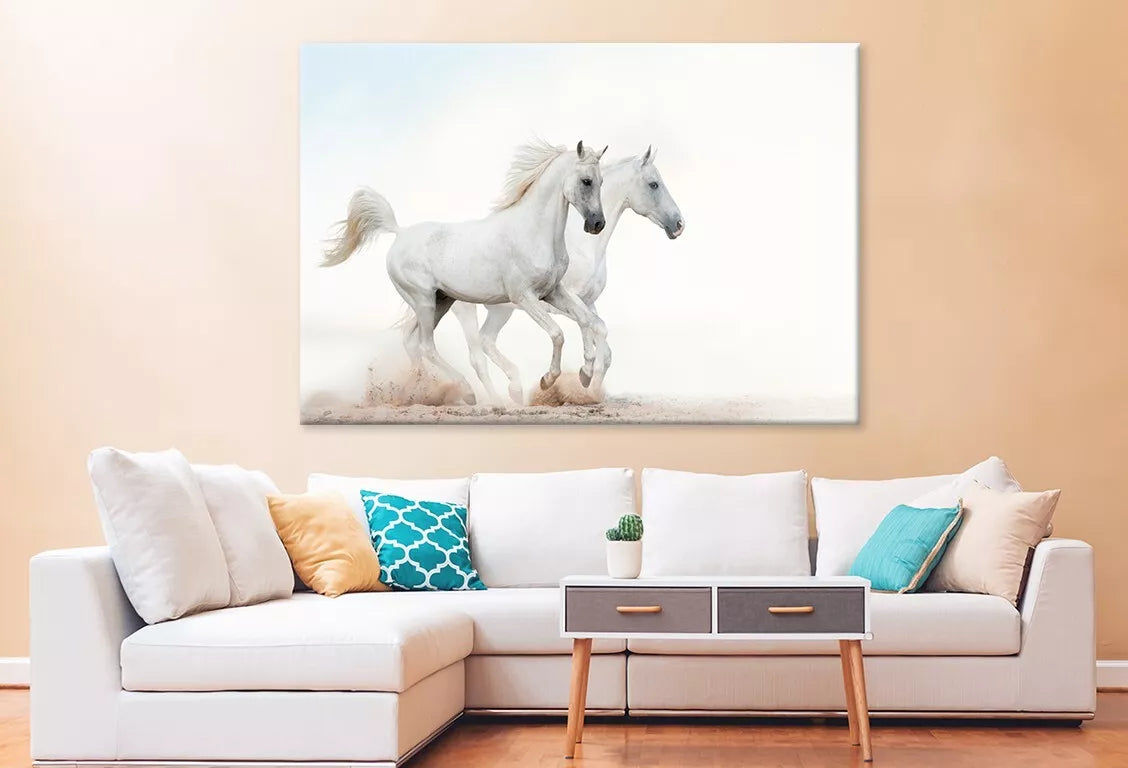 Two Beautiful Snowy White Horses Wall Art Decor 100% Australian Made