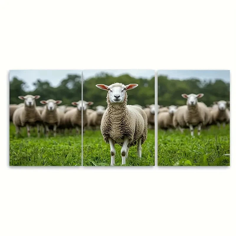 3pcs Sheep Flock Nature Photography Wall Art Set Canvas Framed 40x60cm - High Quality Print 100% Australian Made Wall Canvas Ready to Hang