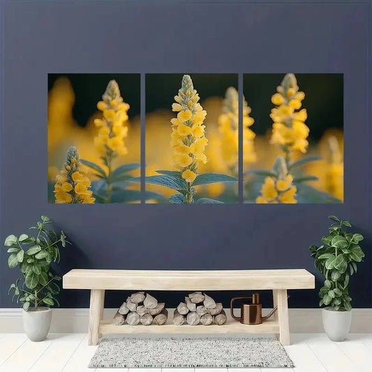 3pcs Yellow Loosestrife Plant Nature Perfect Wall Art Set Canvas Framed 40x60cm - High Quality Print 100% Australian Made Wall Canvas Ready to Hang