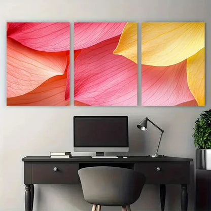 3pcs Contrast Pink And Yellow Petals Close Up Wall Art Canvas Unframed – High Quality Print 100% Australian Made Wall Canvas