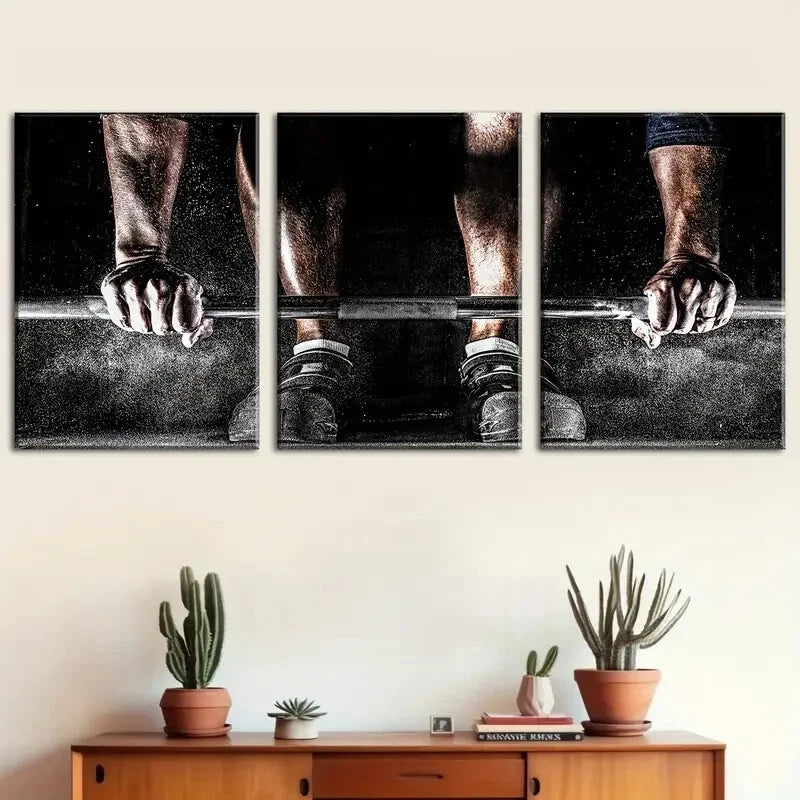 3pcs Gym Motivation Weightlifting & Dumb Perfect Wall Art Set Canvas Framed 40x60cm - High Quality Print 100% Australian Made Wall Canvas Ready to Hang