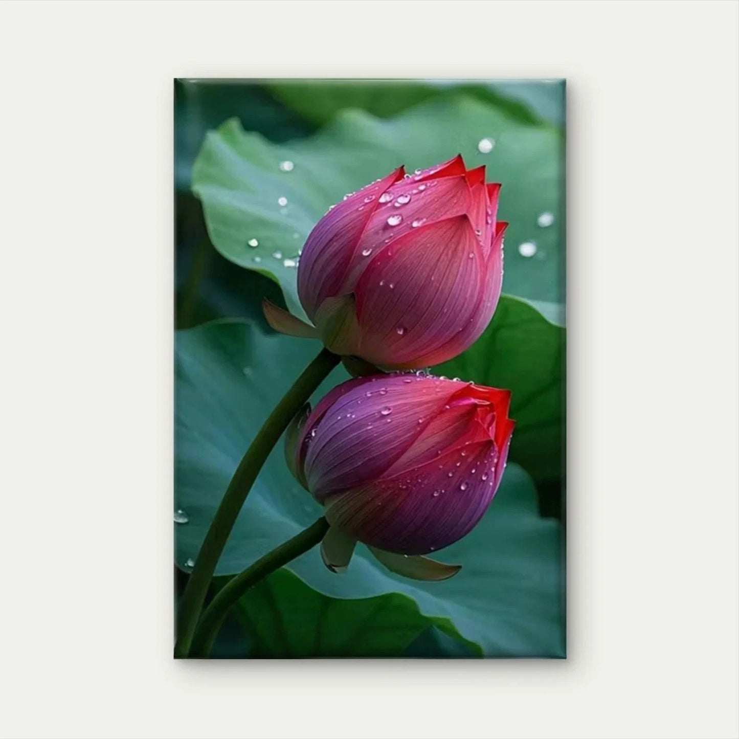 Pink for Lotus Buds, oil painting Metal Print Ready to Hang