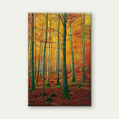 Golden Autumn Forest Landscape 60x90cm Metal Print Ready to Hang