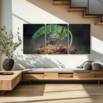 3pcs Bird Art Cute Owl Under a  Leaf Modern Wall Art Set Canvas Framed 40x60cm - High Quality Print 100% Australian Made Wall Canvas Ready to Hang