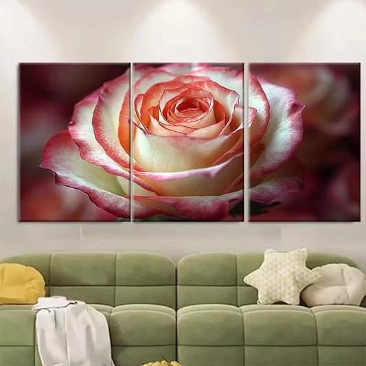 3pcs Macro Rose Photography Metal Print Ready to Hang Art
