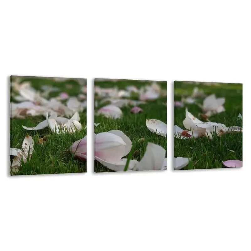 3pcs Elegant Floral Painting with Green Grass Wall Art Set Canvas Framed 50x70cm - High Quality Print 100% Australian Made Wall Canvas Ready to Hang