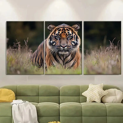 3pcs Tiger Wildlife Photography RE Wall Art Set Canvas Framed 50x70cm - High Quality Print 100% Australian Made Wall Canvas Ready to Hang