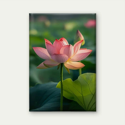 Sun-Kissed Pink for Lotus 60x90cm Metal Print Ready to Hang
