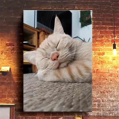 Beautiful Sleepy Feline, Oil Painting 60x90cm Metal Print Ready to Hang