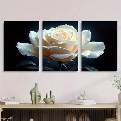 3pcs Elegant White Rose Black Metal Print Ready to Hang Art