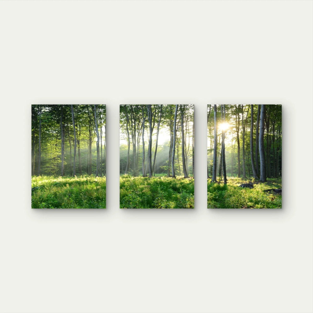 3pcs Golden Sunbeams Pierce Through Forest Tree Wall Art Set Canvas Framed 50x70cm - High Quality Print 100% Australian Made Wall Canvas Ready to Hang