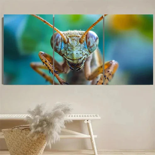 3pcs I Love Insects Wall Art Set Canvas Unframed - High Quality Print 100% Australian Made Wall Canvas