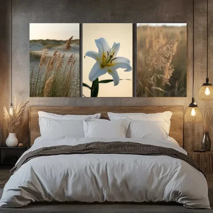 3pcs Pampas Grass, White Flower, Reed Leaves Wall Art Canvas Unframed - High Quality Print 100% Australian Made Wall Canvas