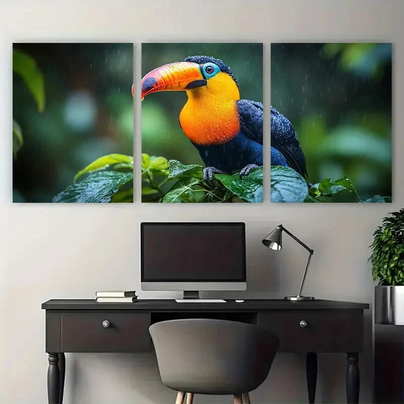 3pcs Chestnut Mandible Toucan Tropical Jungle Wall Art Set Canvas Framed 40x60cm - High Quality Print 100% Australian Made Wall Canvas Ready to Hang