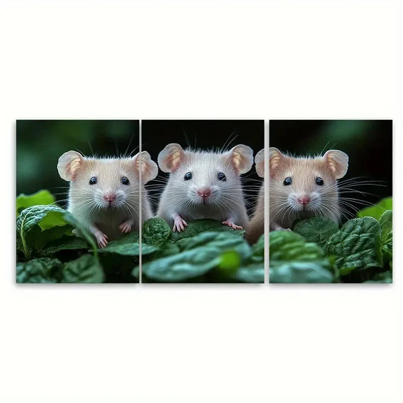 3pcs White Rats Painting Pets Portrait Wall Art Set Canvas Framed 60x90cm - High Quality Print 100% Australian Made Wall Canvas Ready to Hang