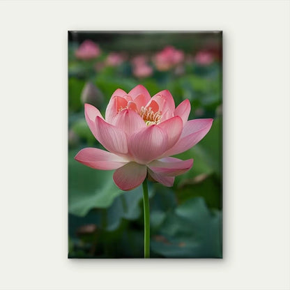 Pink for Lotus in Full Bloom Metal Print Ready to Hang