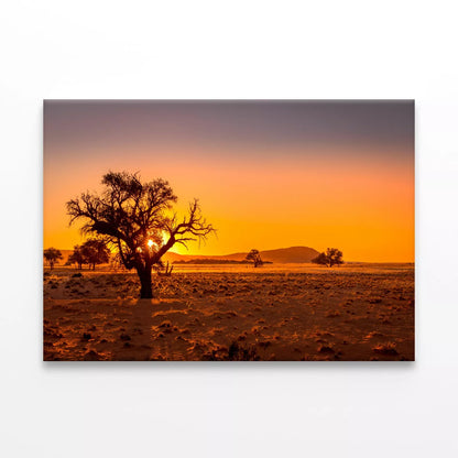 Grassy Steppe, Camel Thorn Trees Wall Art Decor 100% Australian Made