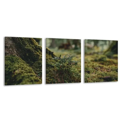 3pcs Mossy Ground & Tree Trunk Painting   Wall Art Set Canvas Framed 60x90cm - High Quality Print 100% Australian Made Wall Canvas Ready to Hang