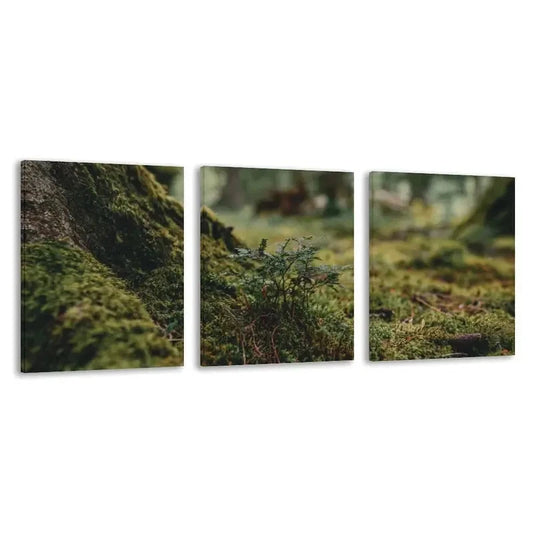 3pcs Mossy Ground & Tree Trunk Painting   Wall Art Set Canvas Framed 60x90cm - High Quality Print 100% Australian Made Wall Canvas Ready to Hang
