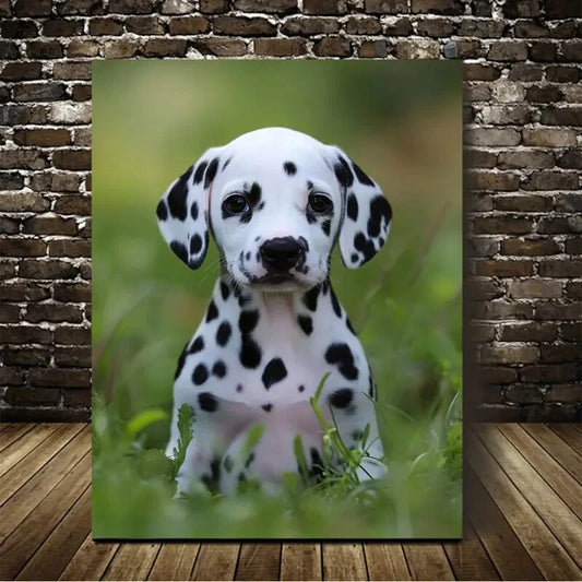 Beautiful Charming Dalmatian Puppy Painting 40x60cm Metal Print Ready to Hang