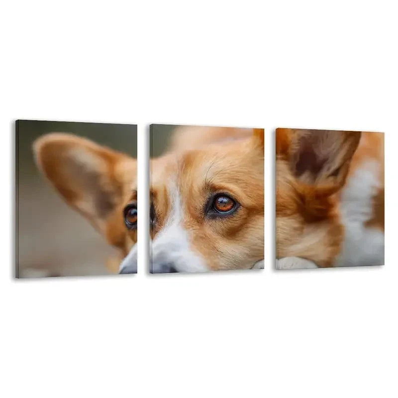3pcs Adorable Welsh Corgi Dog Ground & Eyes Wall Art Set Canvas Framed 50x70cm - High Quality Print 100% Australian Made Wall Canvas Ready to Hang