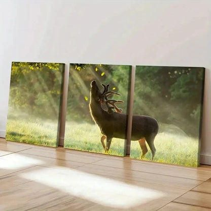 3pcs Deer in the Warmth Of The Sun Wall Art Set Canvas Framed 40x60cm - High Quality Print 100% Australian Made Wall Canvas Ready to Hang