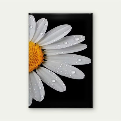 White Daisies with Water Droplets 60x90cm Metal Print Ready to Hang