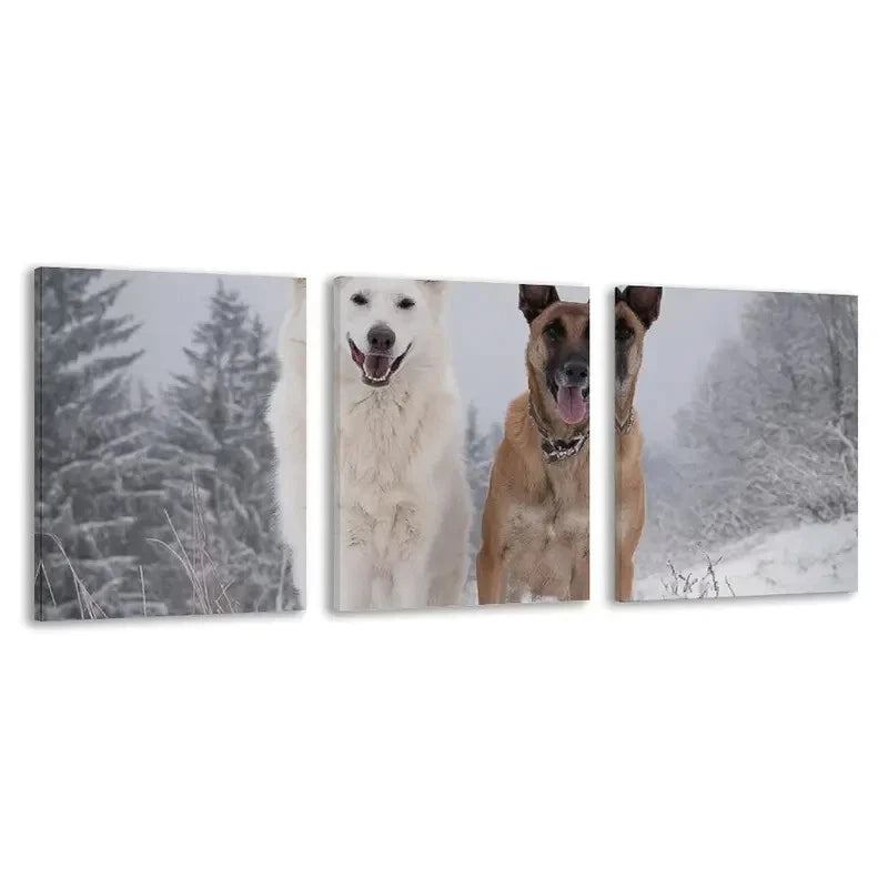 3pcs German Shepherd Dog in Winter Wall Art Set Canvas Framed 50x70cm - High Quality Print 100% Australian Made Wall Canvas Ready to Hang