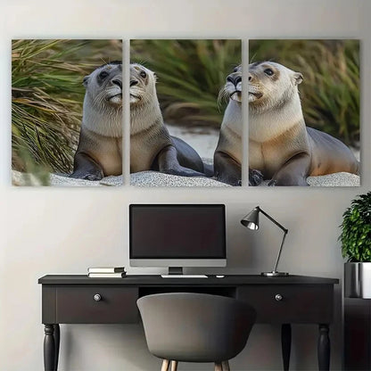 3pcs Australian Sea Lions Vivid Coastal Wildlife Metal Print Ready to Hang Art