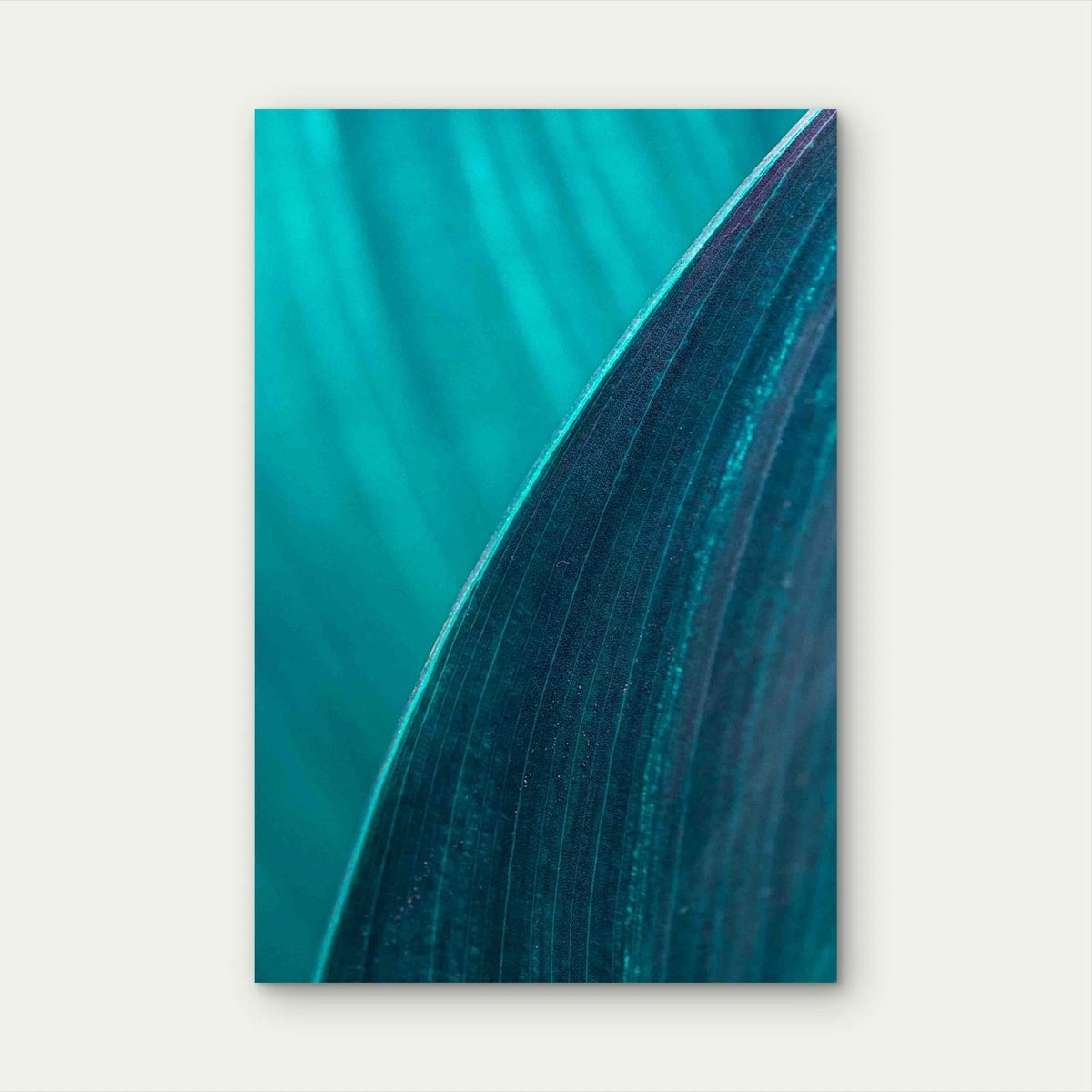Cigar Flower Leaf Metal Print Ready to Hang