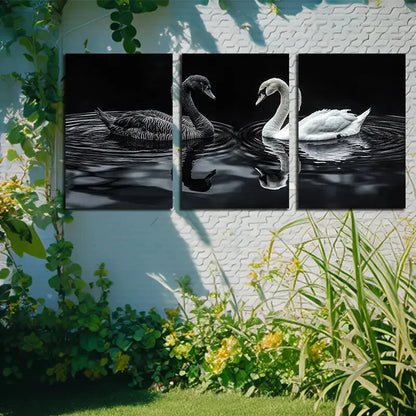3pcs Black and White Swan Dark Theme Design Metal Print Ready to Hang Art