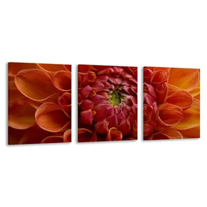 3pcs Vibrant Orange And Pink Dahlia Blooms Wall Art Set Canvas Framed 40x60cm - High Quality Print 100% Australian Made Wall Canvas Ready to Hang