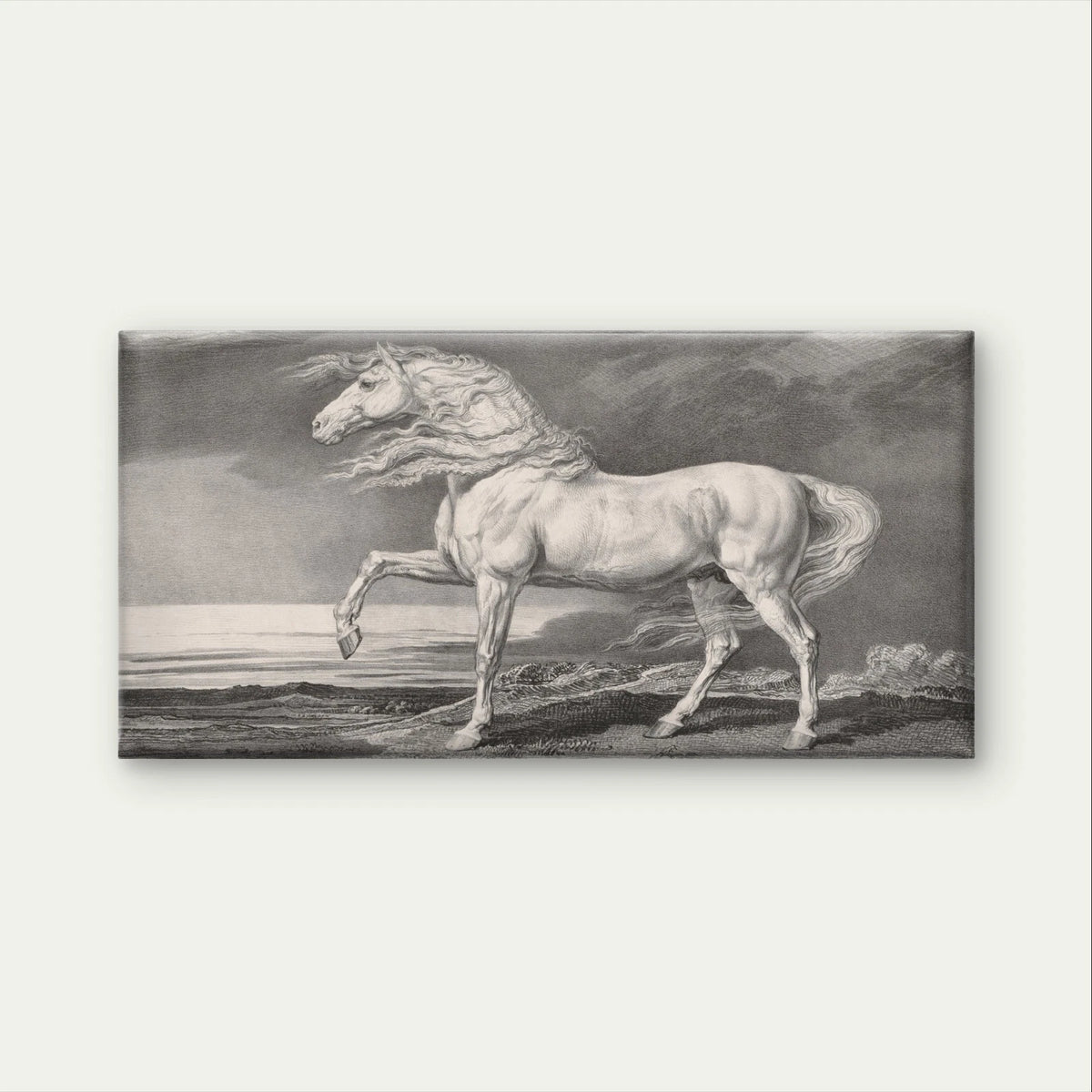 Vintage White Horse Classical Sketch Wall Art Canvas Office Home Framed 120x60cm