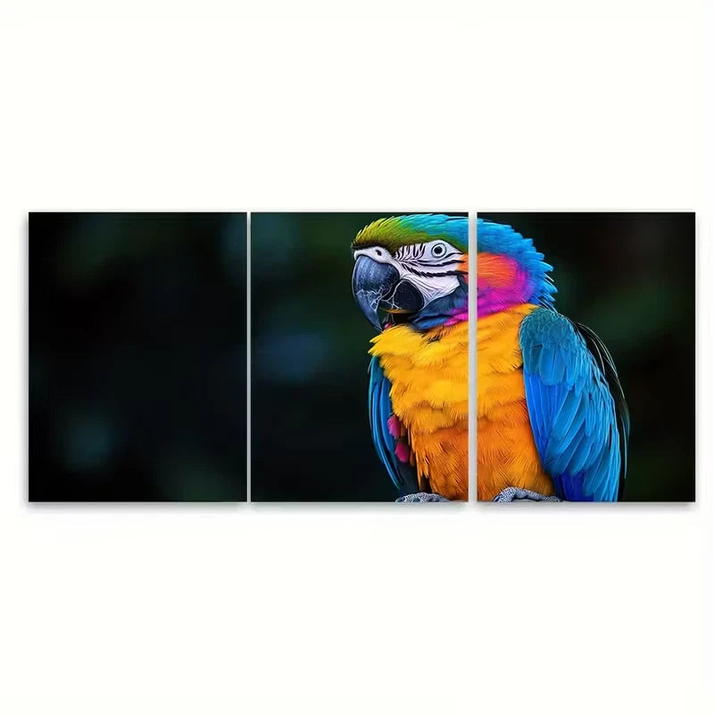 3pcs Colorful Parrot Feathers Nature Metal Print Ready to Hang Art