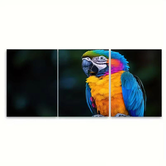 3pcs Colorful Parrot Feathers Nature Metal Print Ready to Hang Art