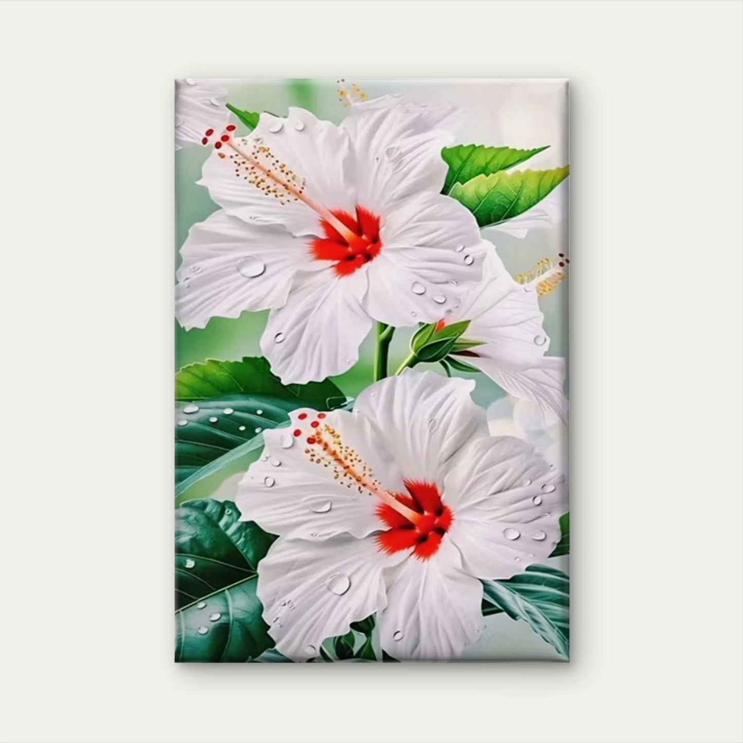 White Hibiscus with Red Centers 60x90cm Metal Print Ready to Hang