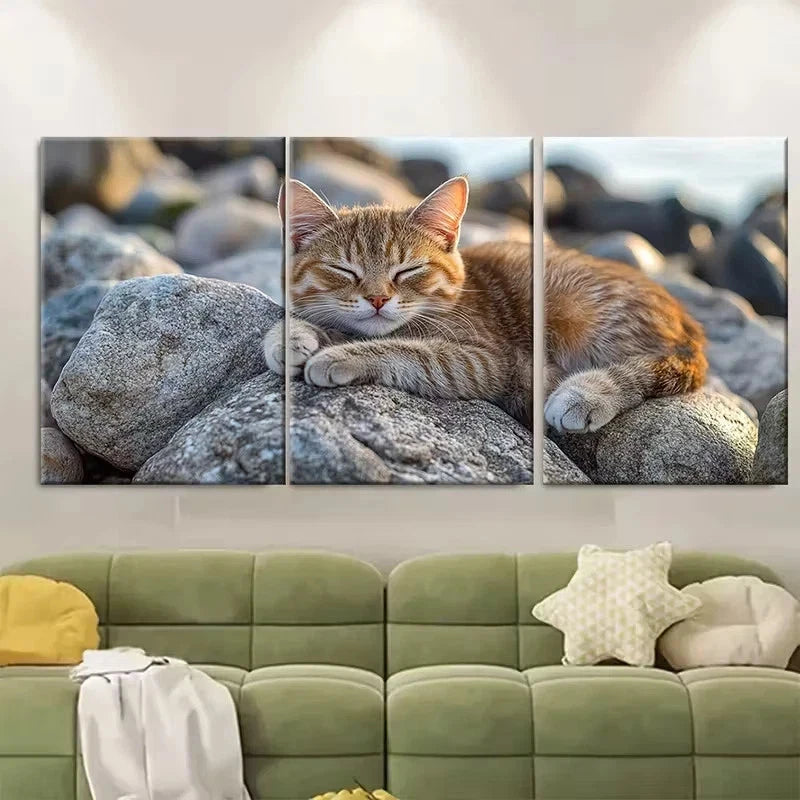 3pcs Seaside Adventure Cat on Rocks Wall Art Set Canvas Framed 50x70cm - High Quality Print 100% Australian Made Wall Canvas Ready to Hang