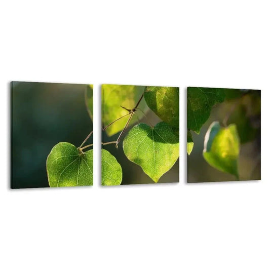 3pcs Sunlight Through The Leaves Of A Tree   Wall Art Set Canvas Framed 60x90cm - High Quality Print 100% Australian Made Wall Canvas Ready to Hang