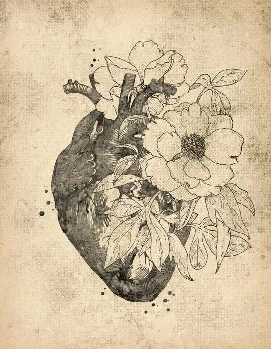 NEW (LAMINATED) CARDIOLOGY ART (61X91CM) MEDICAL CHART PICTURE PRINT