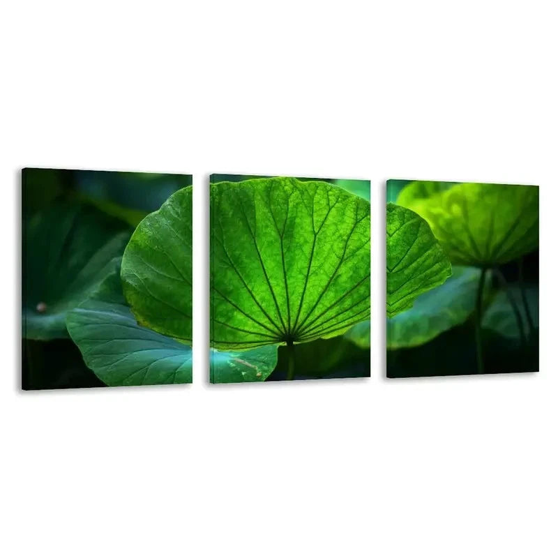 3pcs Lotus Leaves Winter Home Decor Wall Art Set Canvas Framed 50x70cm - High Quality Print 100% Australian Made Wall Canvas Ready to Hang