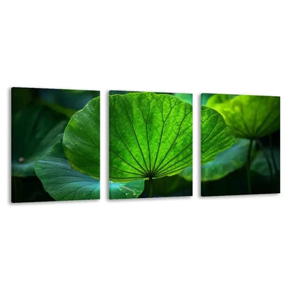 3pcs Lotus Leaves Winter Home Decor Wall Art Set Canvas Framed 50x70cm - High Quality Print 100% Australian Made Wall Canvas Ready to Hang