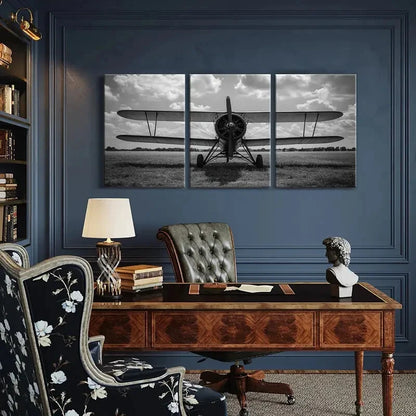 3pcs Black & White Plane Print with Cloudy Sky Metal Print Ready to Hang Art