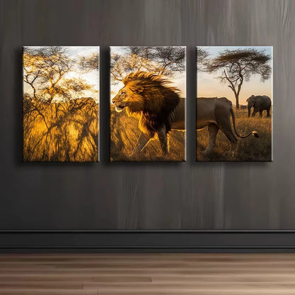 3pcs Majestic Lion Illustration Wall Art Set Canvas Framed 50x70cm - High Quality Print 100% Australian Made Wall Canvas Ready to Hang