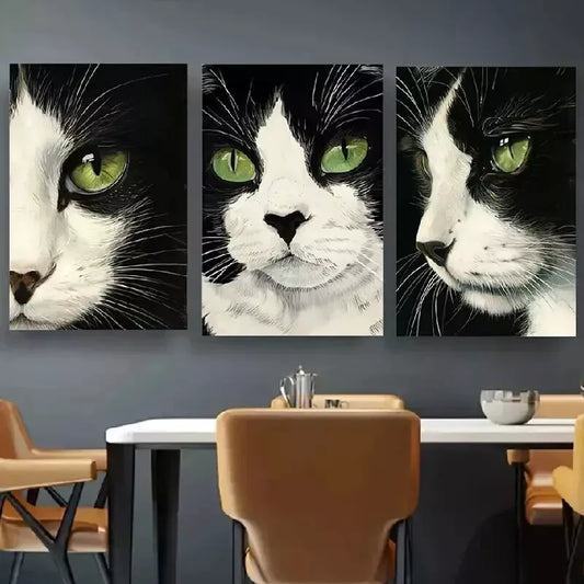 3pcs Black and White Cat Wall Art Set Canvas Framed 50x70cm - High Quality Print 100% Australian Made Wall Canvas Ready to Hang