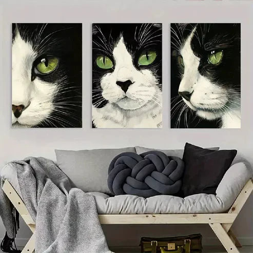 3pcs Black and White Cat Artwork Wall Art Canvas Unframed - High Quality Print 100% Australian Made Wall Canvas