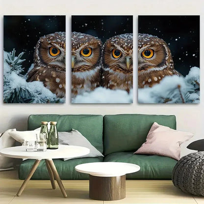 3pcs Adorable Owl Intense Gaze Bird of Prey Metal Print Ready to Hang Art